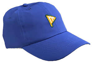 Momentum hat with logo
